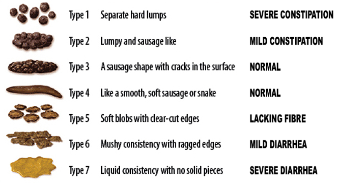 Bristol stool scale